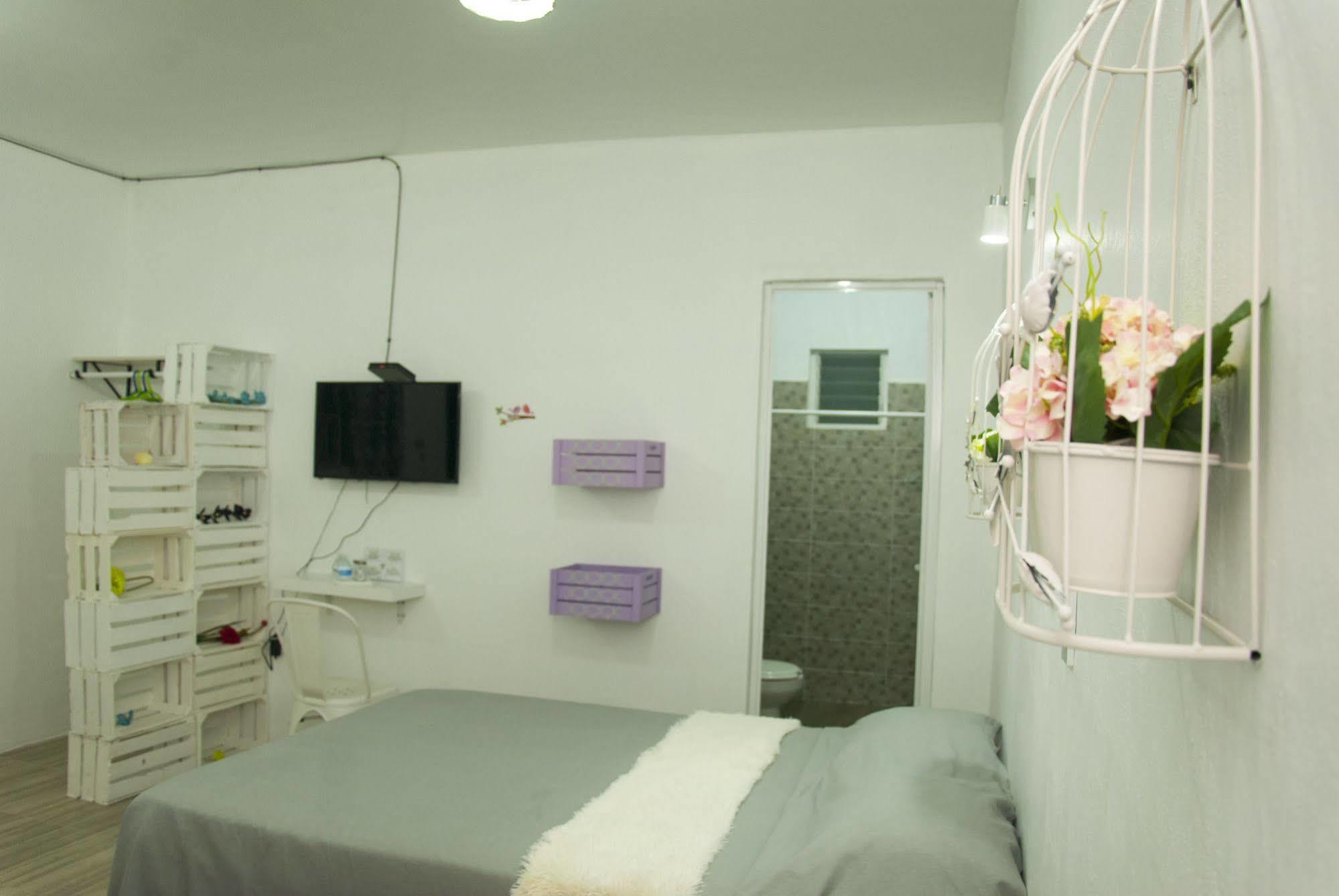 Hotel Karenina Oaxaca المظهر الخارجي الصورة